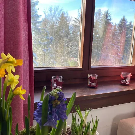 Jagdhaus In Der Rhoen In Voelliger Alleinlage Holiday home