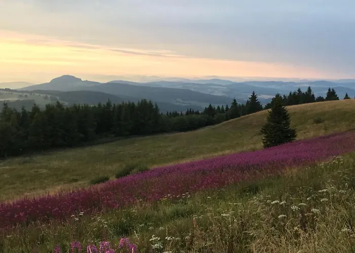 Jagdhaus In Der Rhoen In Voelliger Alleinlage Ferienhaus *