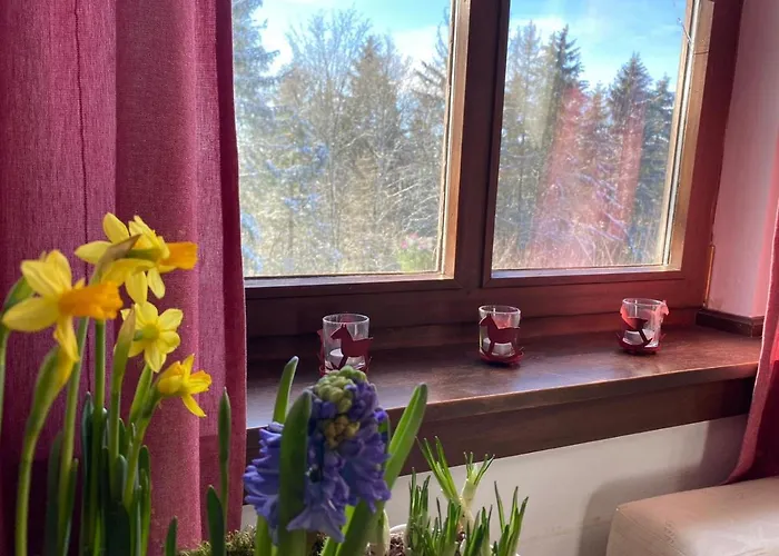 Jagdhaus In Der Rhoen In Voelliger Alleinlage Ferienhaus