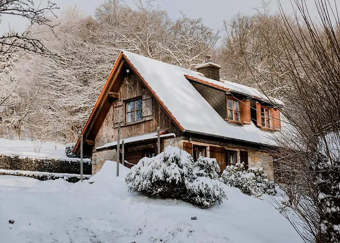 Jagdhaus In Der Rhoen In Voelliger Alleinlage Ferienhaus Gersfeld