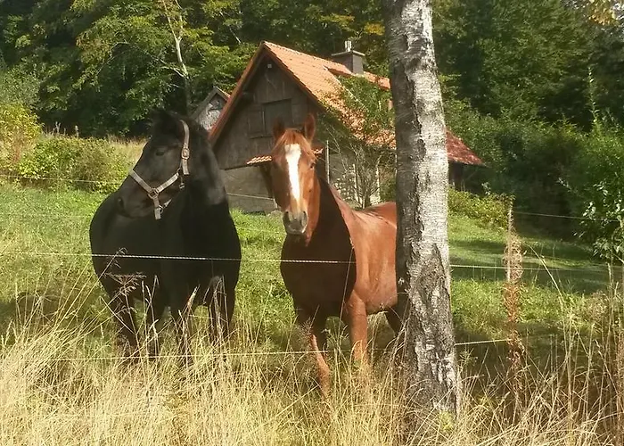 Jagdhaus In Der Rhoen In Voelliger Alleinlage